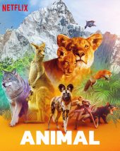 Animal (2021) สัตว์มหัศจรรย์